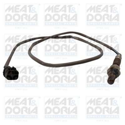 Oxygen Sensor